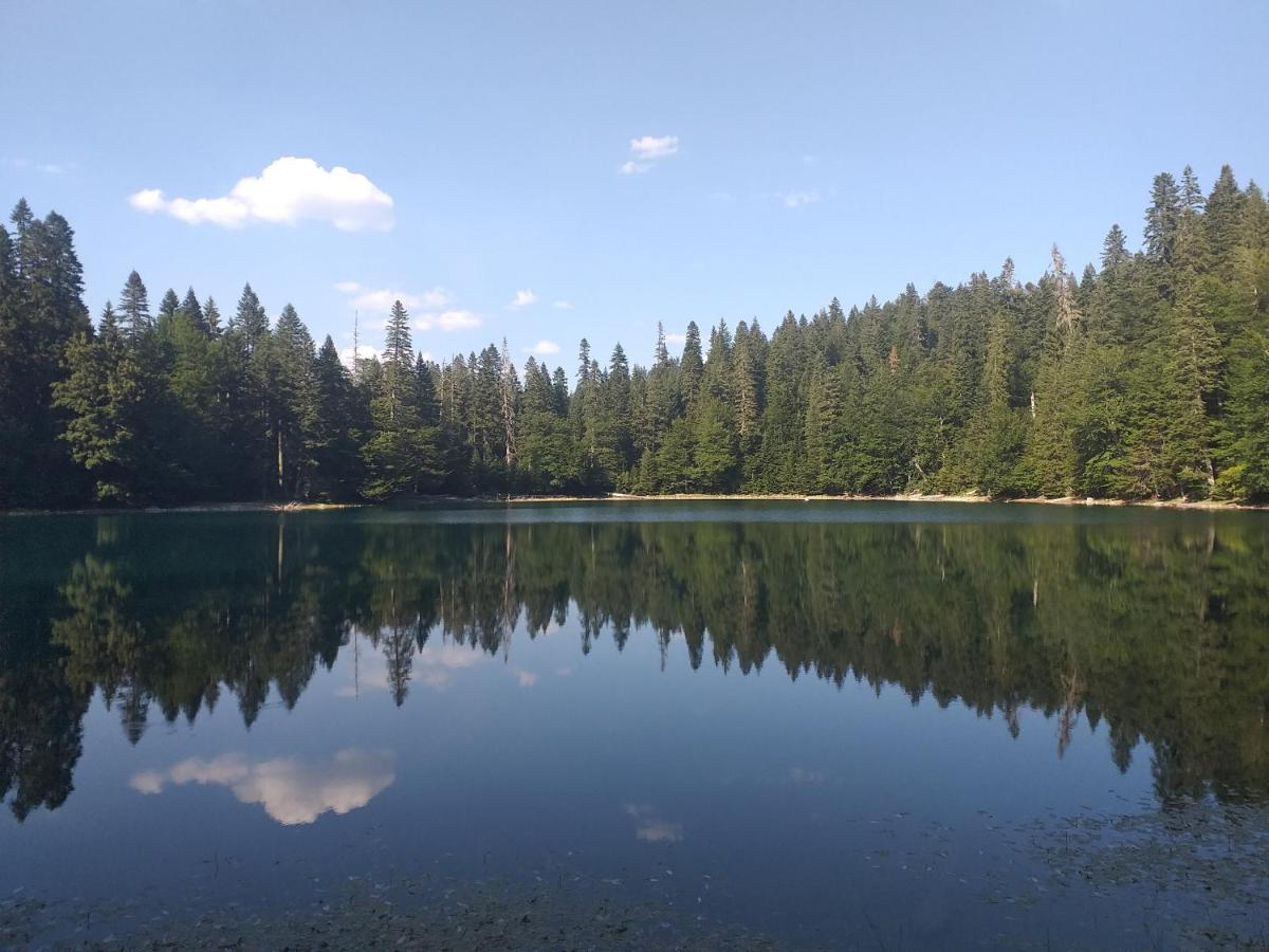 Vila Montana Dobrilovina 외부 사진